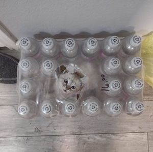 Meet your Posher, Charles